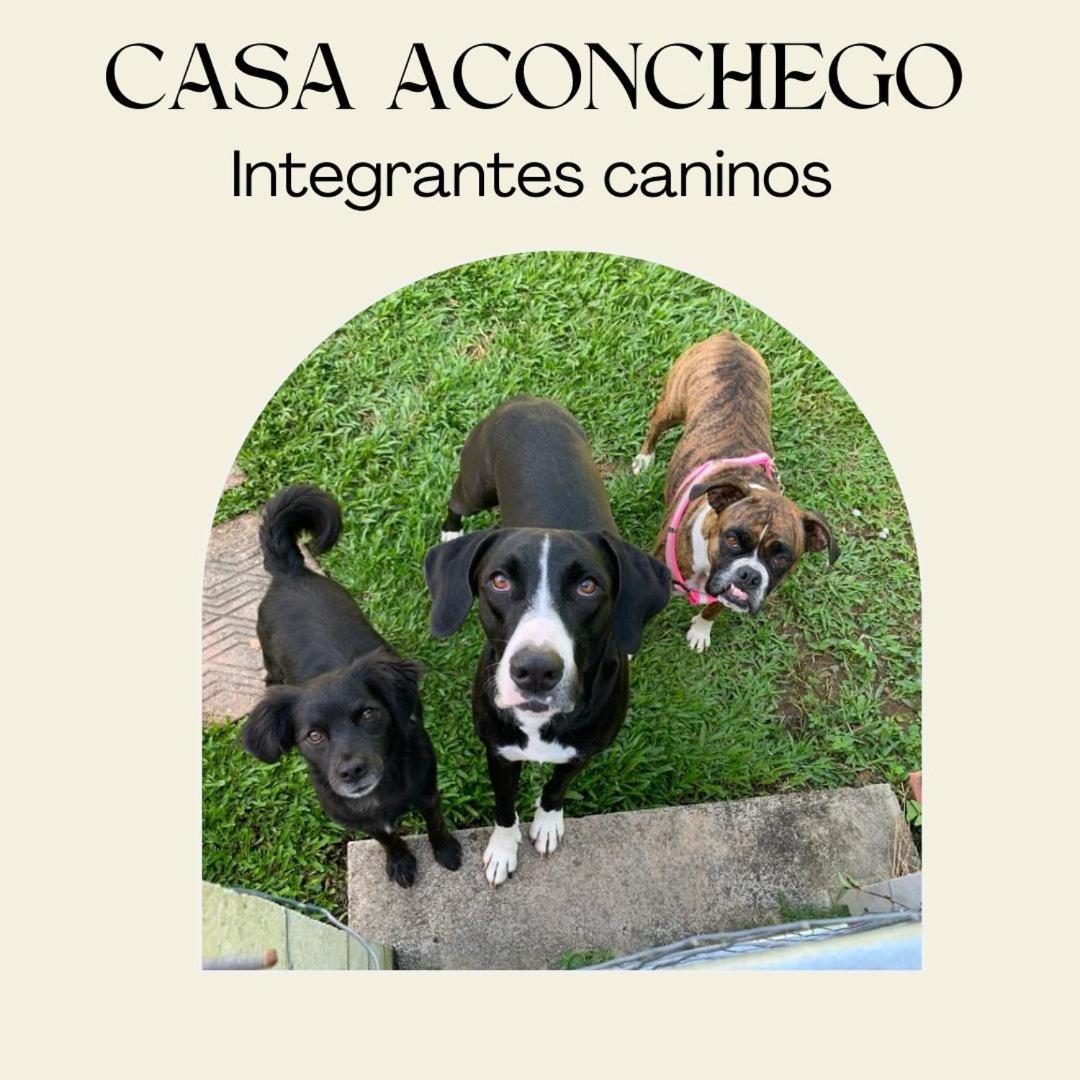 Casa Aconchego 345 Ao Lado Alles Park Pomerode Eksteriør bilde